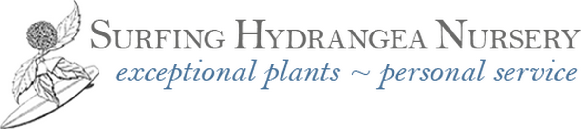 Shn logo