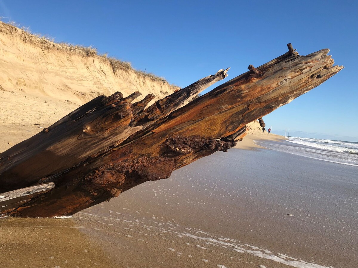 Maritime Archeologists Find Skeletal Remains of Ship From 1800s Emerging  From Sands on Shore of Nantucket