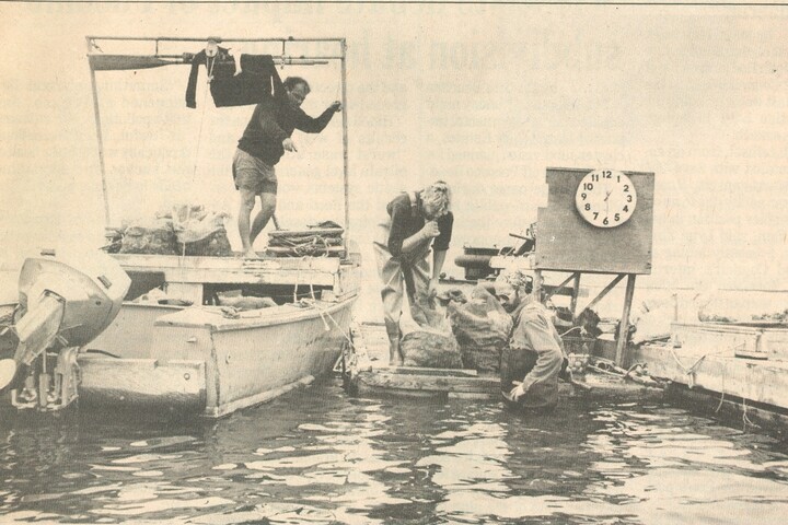 Martin Chris Rob harvesting oysters