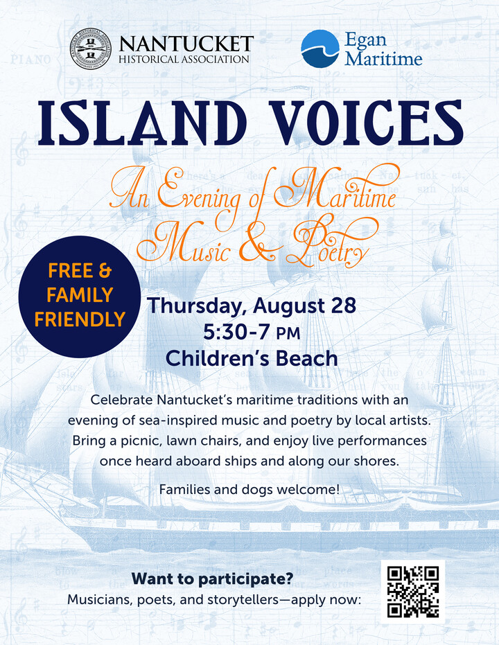 Flyer Island Voices