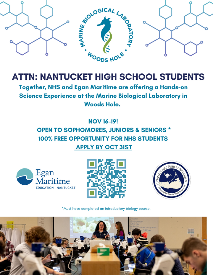 White Aesthetic Simple International STEM Day Flyer 1